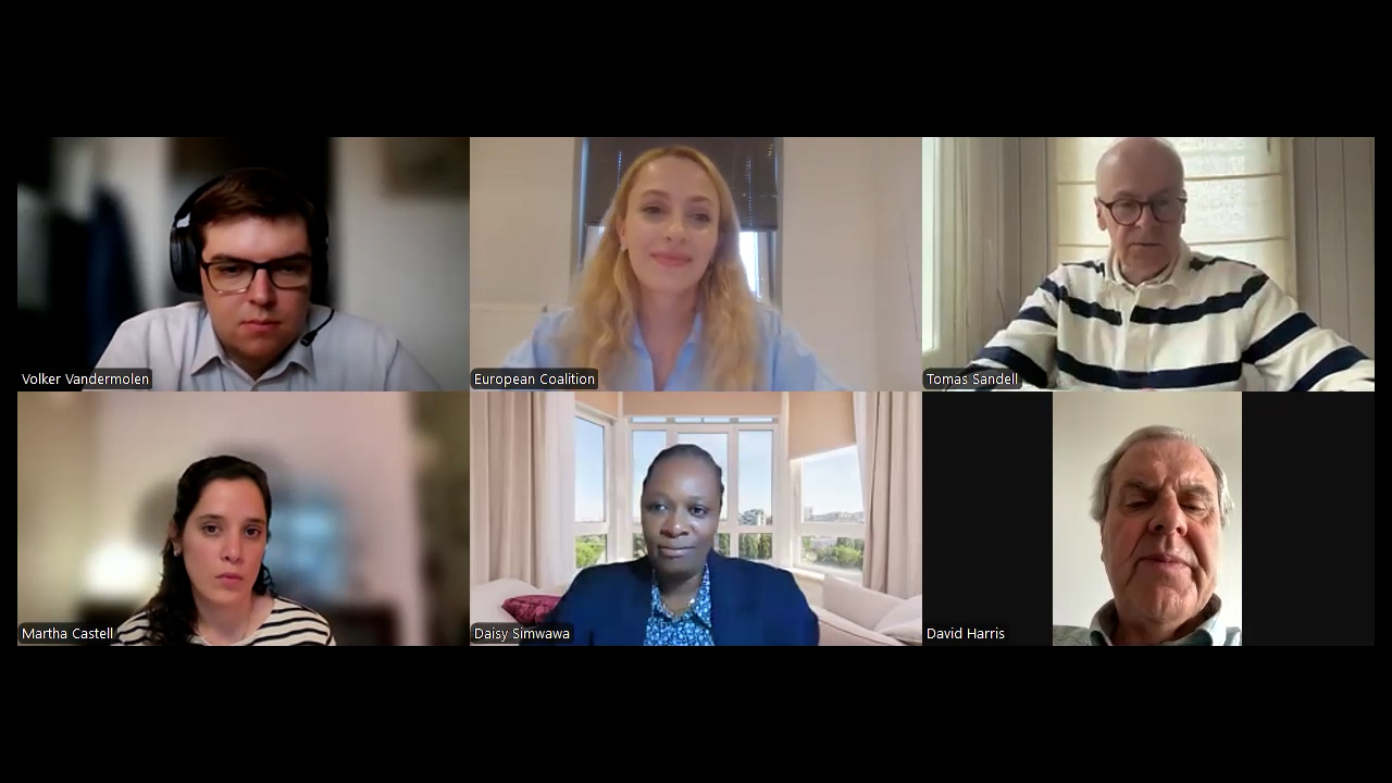 ECI webinar June 2026